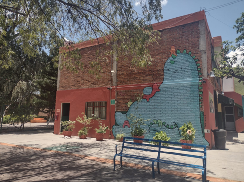 Villa Infantil Irapuato - Area administrativa 1